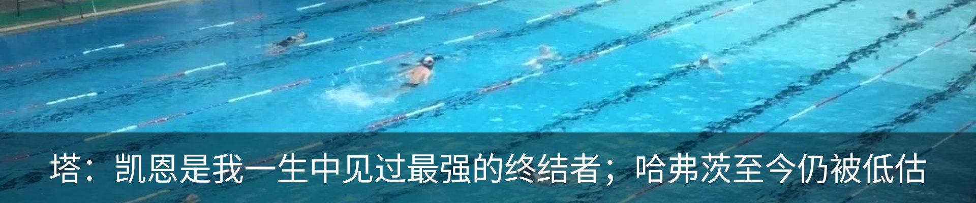 资讯动态